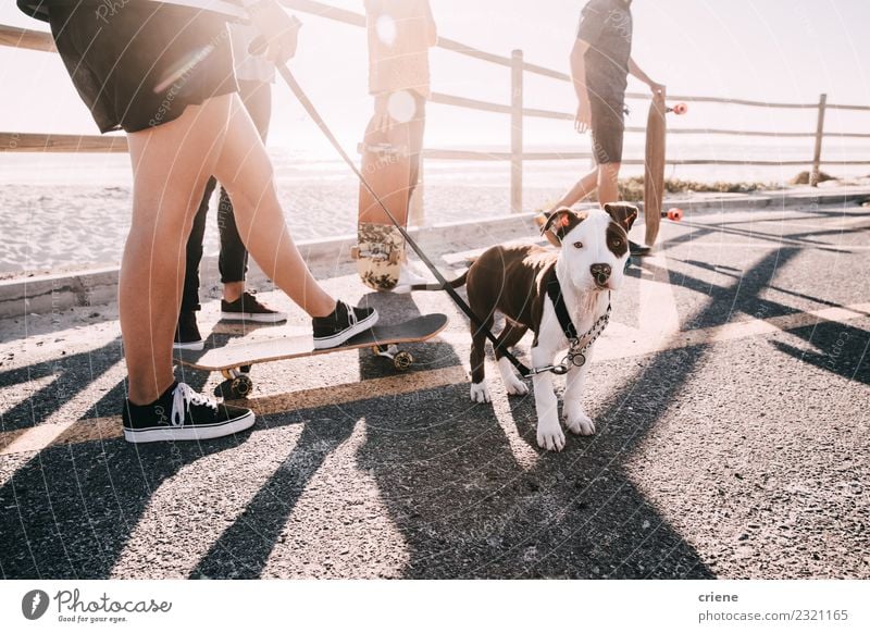 Group of people with young cute puppy at beach Joy Happy Playing Summer Woman Adults Family & Relations Friendship Animal Pet Dog Love Embrace Happiness