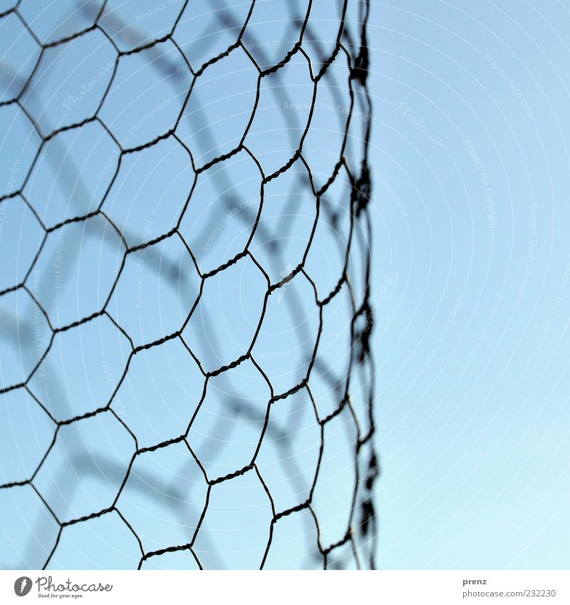 mesh Environment Air Sky Metal Line Blue Gray Black Wire Wire netting Wire netting fence Honeycomb Curved Structures and shapes Colour photo Exterior shot