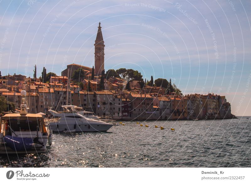Lovely city Rovinj Shopping Style Vacation & Travel Tourism Trip Far-off places Freedom City trip Summer Summer vacation Sun Ocean Waves Art Architecture Nature