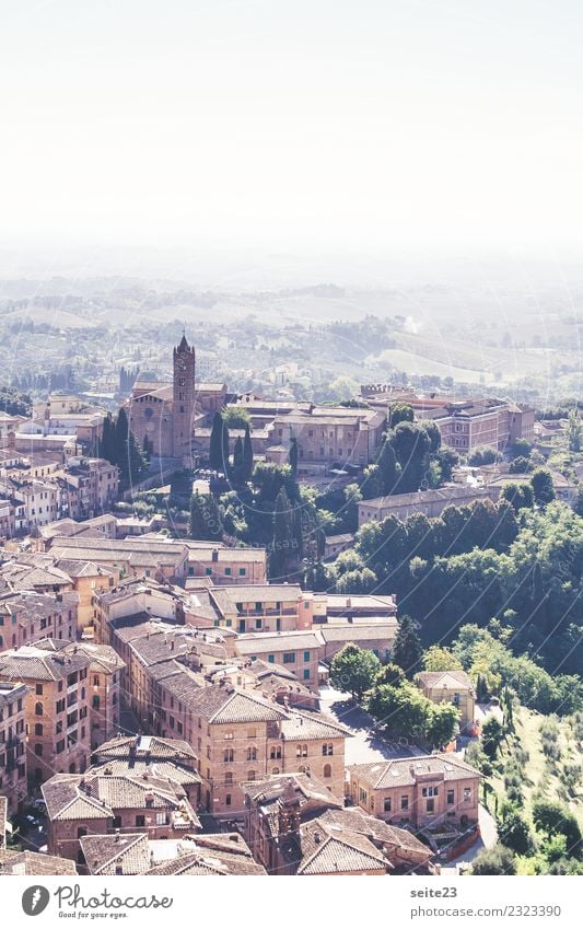 Siena from above - Tuscany, Italy Leisure and hobbies Vacation & Travel Tourism Trip Sightseeing City trip Summer House (Residential Structure) Architecture