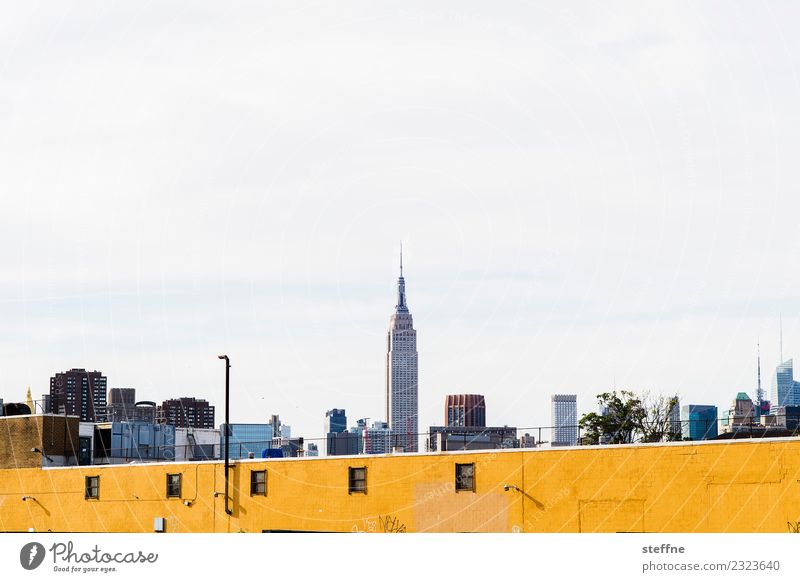 Manhattan Skyline with Empire State Building Town New York City Empire State building yellow wall Wall (barrier) Yellow Colour photo Copy Space top