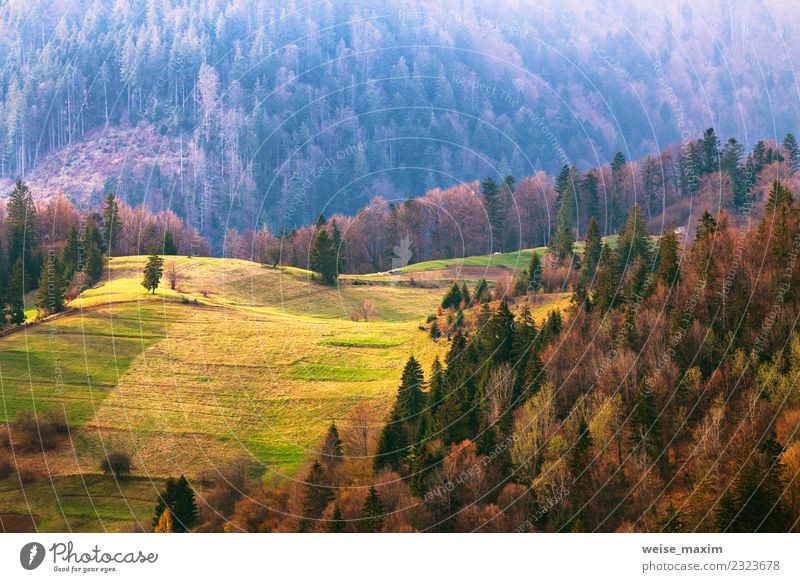 Green hills in mountain valley. Spring landscape. Beautiful Vacation & Travel Tourism Summer Mountain Environment Nature Landscape Tree Grass Park Meadow Forest