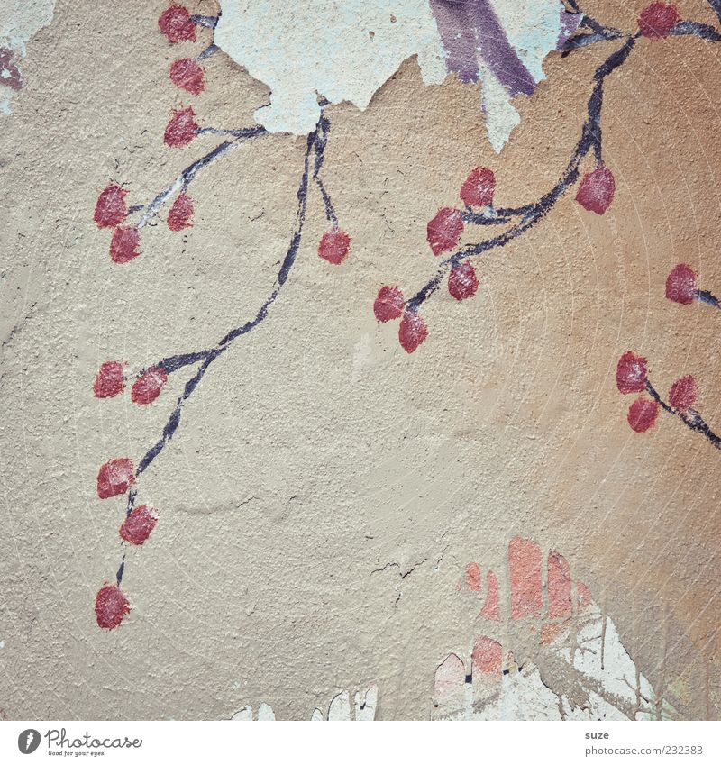 spring cleaning Design Flower Blossom Old Authentic Dirty Plaster Wall (building) Daub Decoration Colour photo Subdued colour Exterior shot Detail Pattern