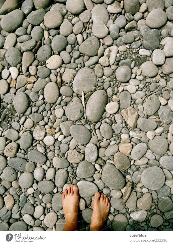 Barefoot on stone Feet Earth Beach Stone Sand Cold Round Gray Calm Subdued colour Exterior shot Bird's-eye view Pebble Pebble beach Copy Space top
