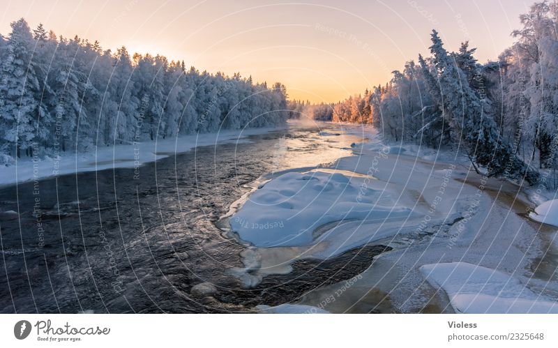 -28° II Finland Snow Snowfall Ice Frozen Rovaniemi Fog Sunset Orange Forest Fir tree White River Cold Winter