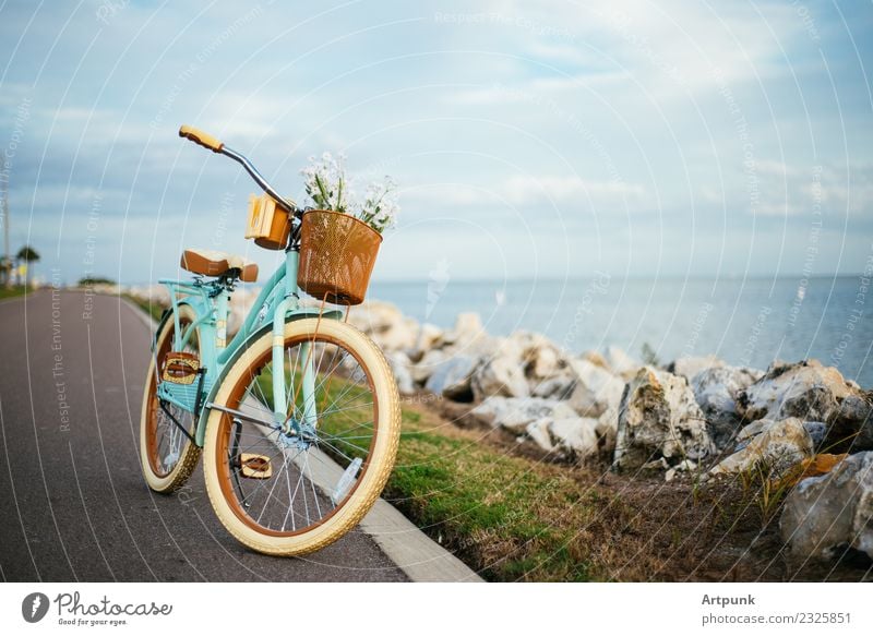 Bike on the beach Bicycle white wheels Cycling tour Beach Cruiser Summer Vacation & Travel Daisy Family Flower Basket Tropical Stone block Sky Clouds Sunset