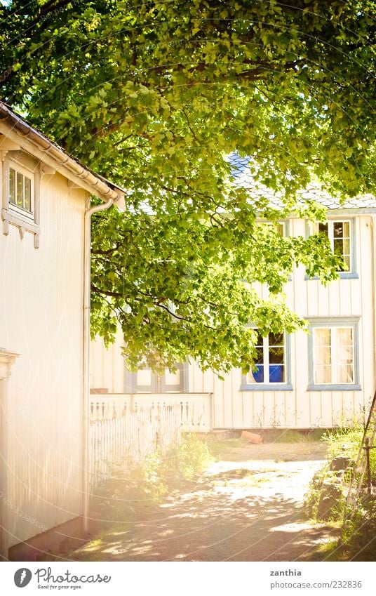 summer Village Deserted House (Residential Structure) Building Idyll Lanes & trails Living or residing Contentment Norway Scandinavia Wooden house Tree Treetop