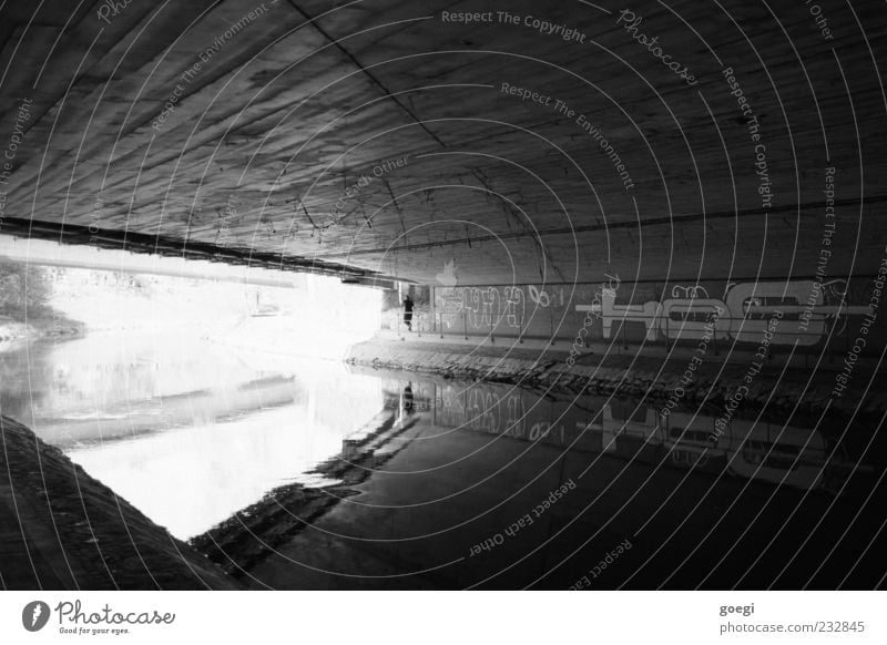 At the river I River bank Brook Bridge Concrete Water Graffiti Dirty Ceiling Smoothness Cobwebby Black & white photo Exterior shot Day Reflection
