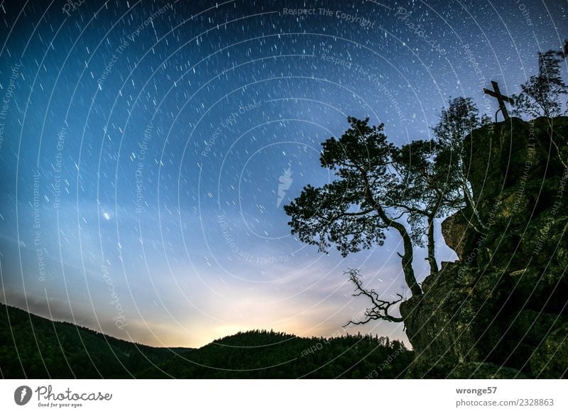 complex our starry sky Nature Landscape Air Sky Night sky Stars Autumn Tree Rock Harz Far-off places Gigantic Glittering Blue Green Black Silver White Romance