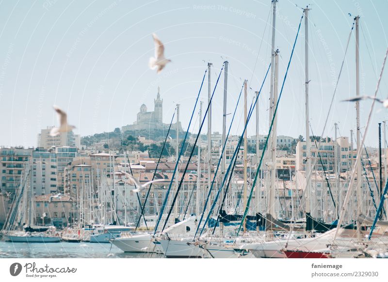 Marseilles Town Port City Historic Provence Southern France Le vieux port Harbour Sailboat Gull birds Seagull Flying Church Cathedral Notre Dame de la Garde