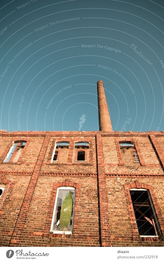 industrial Sky Cloudless sky Mannheim Deserted Industrial plant Factory Ruin Manmade structures Building Architecture Wall (barrier) Wall (building) Facade