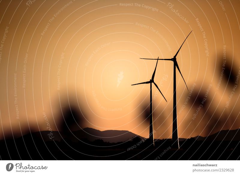 Windmills at sunset Technology Energy industry Renewable energy Wind energy plant Windmill vane Environment Landscape Climate Hill Mountain Sustainability