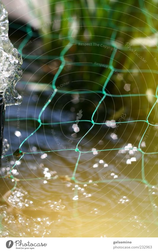 fishing net Pond Water Spring Beautiful weather Pump Blue Green Colour photo Exterior shot Morning Sunlight Water reflection Reflection Fence Loop Common Reed