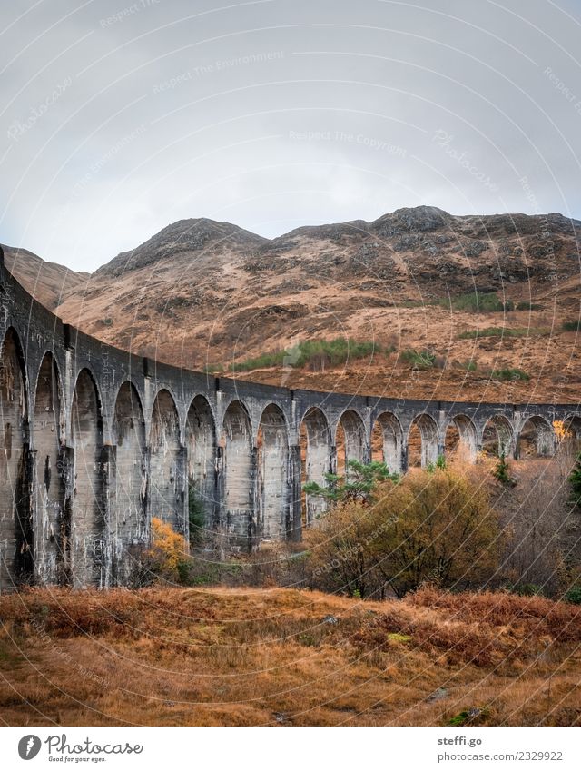 Viaduct in Scotland; film location Harry Potter Vacation & Travel Tourism Trip Adventure Far-off places Freedom Winter Mountain Hiking Environment Nature