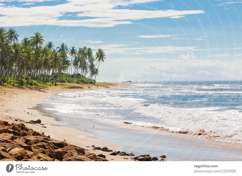 Sri Lanka, Rathgama - Landscape of Rajgama aka Rathgama Asia Bay Beach Coast Horizon Idyll Illuminate Island Nature Ocean Palm tree Peaceful Card Rathapura