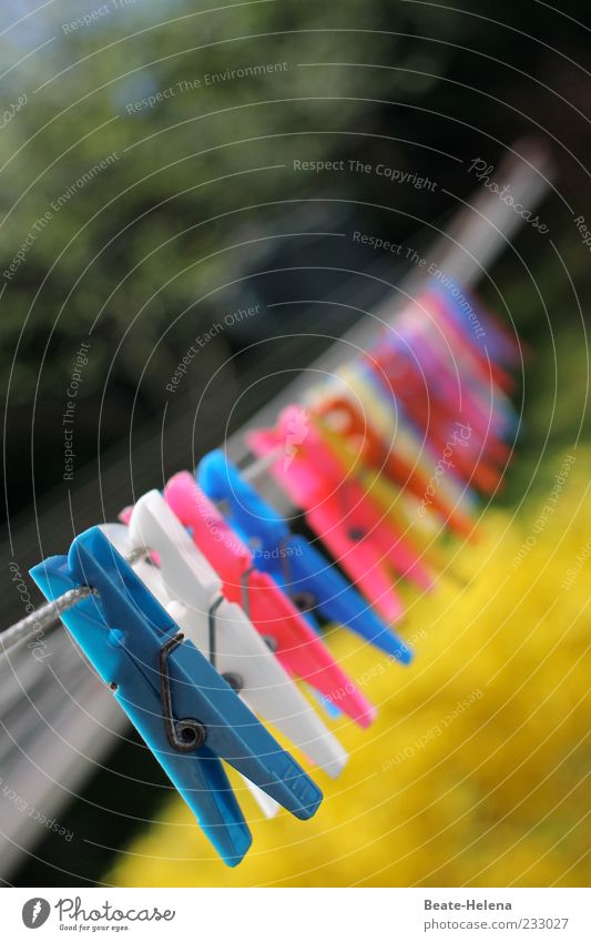 Ready to hang up Blue Yellow Red White Clothesline Clothes peg Sunlight Colour photo Exterior shot Blur Deserted Many Beaded Copy Space top Plastic