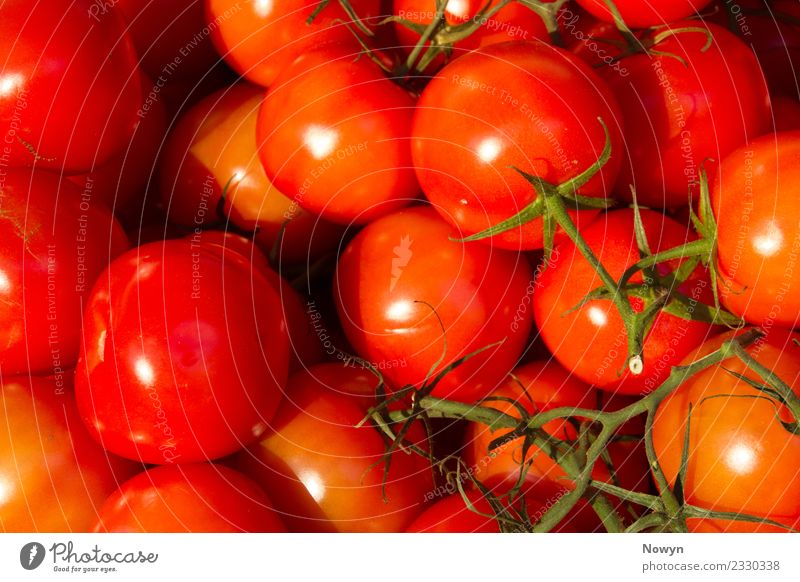 Healthy organic tomatoes Food Vegetable Fruit Nutrition Eating Organic produce Vegetarian diet Diet Fasting Green Orange Red Tomato Isolated (Position) Stalk