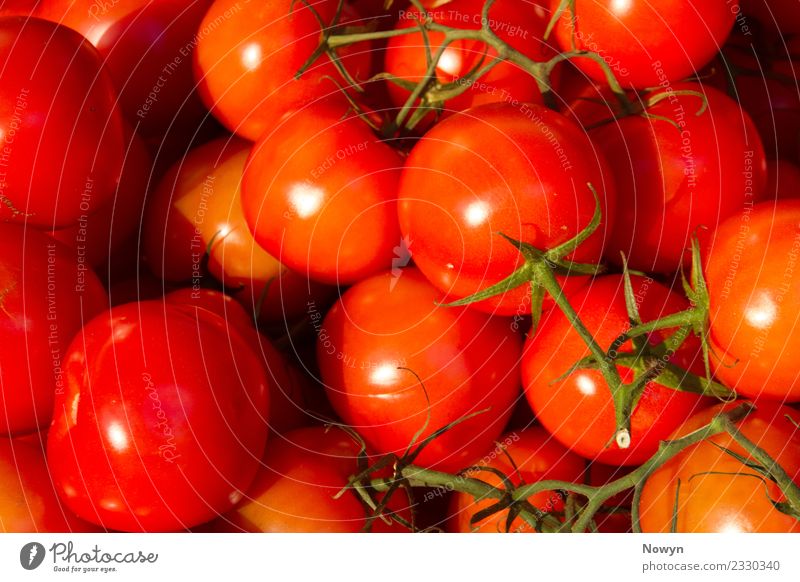 Fresh tasty healthy tomatoes Food Vegetable Lettuce Salad Fruit Tomato Red Nutrition Organic produce Vegetarian diet Diet Fasting Authentic Simple Healthy