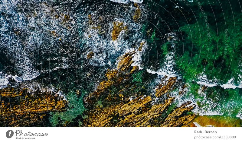 Aerial View Of Ocean Waves Crushing On Rocky Beach Environment Nature Landscape Earth Water Summer Weather Beautiful weather Wind Gale Bay Discover Exceptional