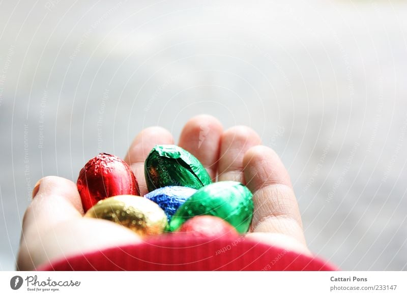 colorful chocolate eggs Food Candy Chocolate Egg Joy Happy Easter Hand Fingers To hold on Sweet Give Multicoloured Bright Delicate Egg race Easter egg