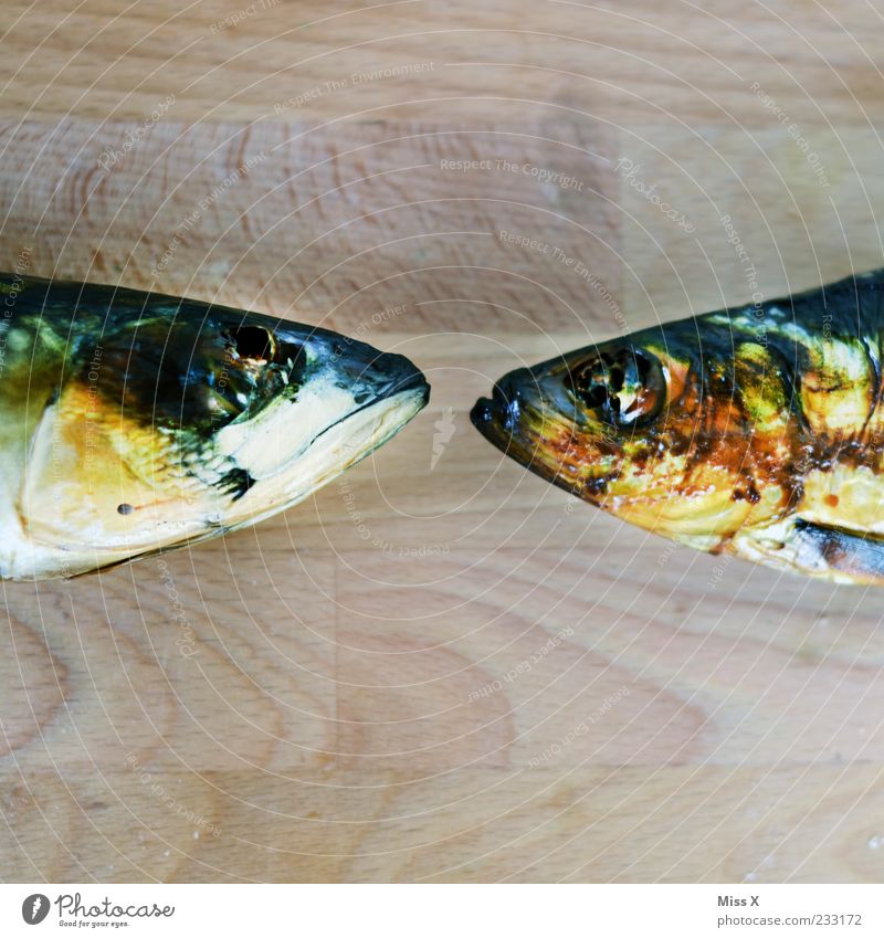 Colorful kisses Food Fish Animal 2 Gold Fish head Head Smoked Trout Mackerel Scales Colour photo Multicoloured Close-up Detail Deserted Copy Space top
