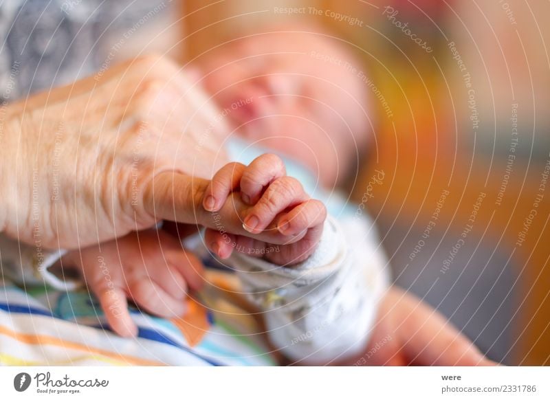 The hand of a newborn baby holds the finger of an adult Human being Baby Hand Safety Protection Safety (feeling of) Shallow depth of field sleep child clenched
