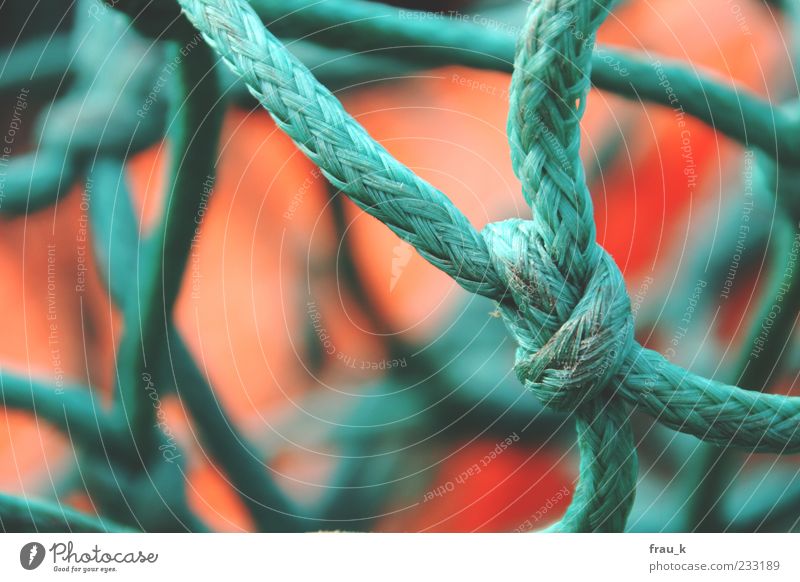 sailor's yarn Fishing net Knot Net Old Green Red Exterior shot Day Shallow depth of field Detail Rope Copy Space left Deserted Close-up Macro (Extreme close-up)