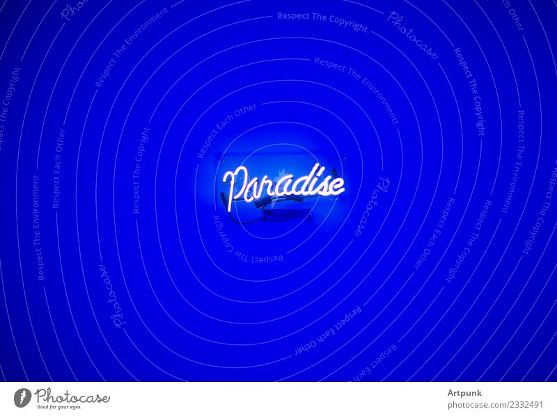Paradise Neon Sign Neon sign Neon light Modern City life Youth culture Electric Blue Violet Glass White Wire Bar Pub Art Room Word Vacation & Travel