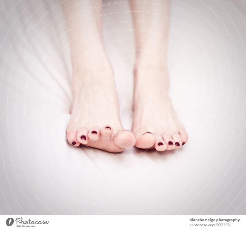 feeling like porcelain Feminine Feet Lie Esthetic Thin Simple White Elegant Colour photo Interior shot Close-up Light High-key Deep depth of field Barefoot