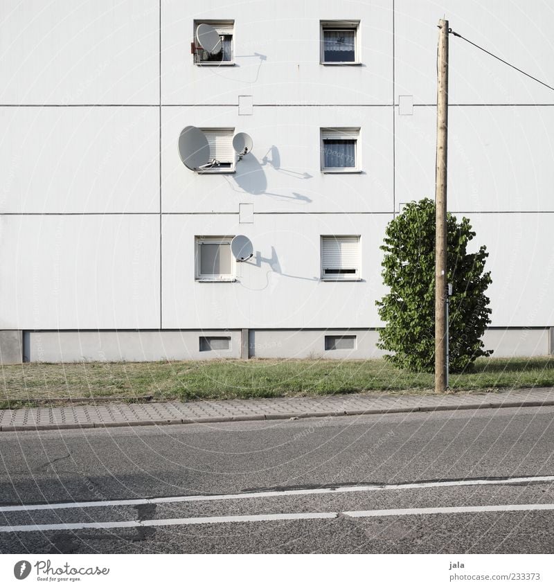 full to bursting Plant Bushes Meadow House (Residential Structure) Manmade structures Building Architecture Apartment house Facade Window Satellite dish