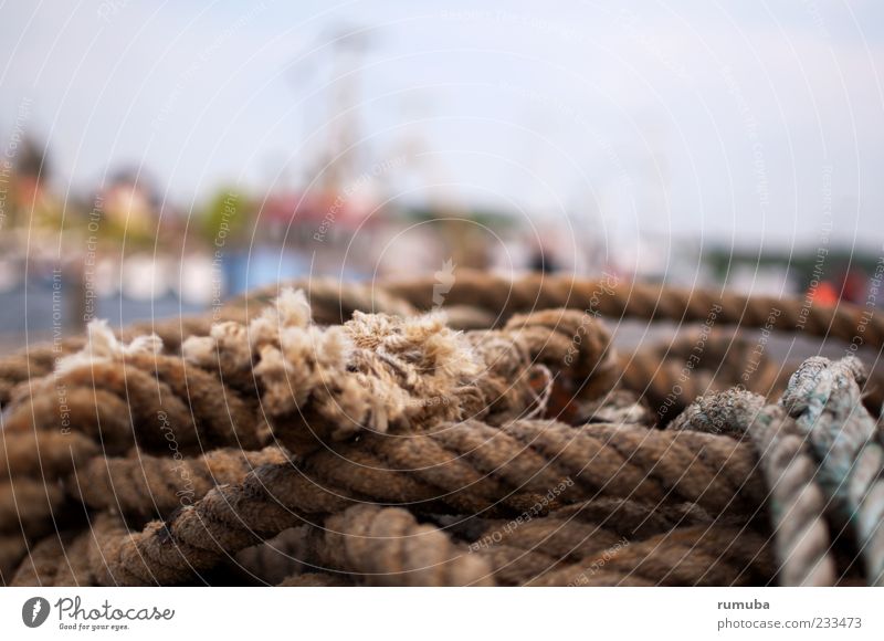 Maritime Rope Coast Baltic Sea Harbour Colour photo Exterior shot Day Sunlight Central perspective Lie Brown Deserted Blur Broken Rupture Tattered