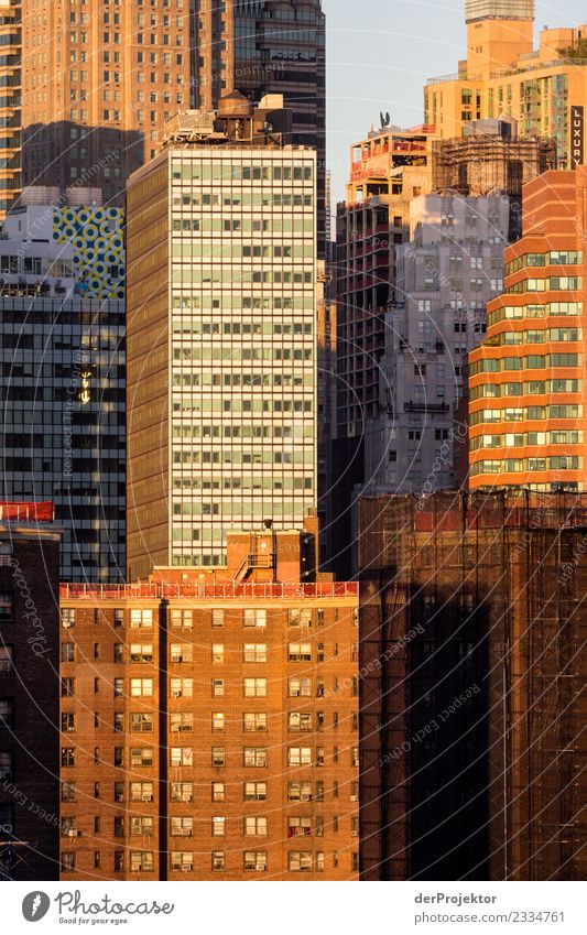 High up in New York Central perspective Deep depth of field Sunlight Reflection Contrast Shadow Light Day Copy Space middle Copy Space right Copy Space left