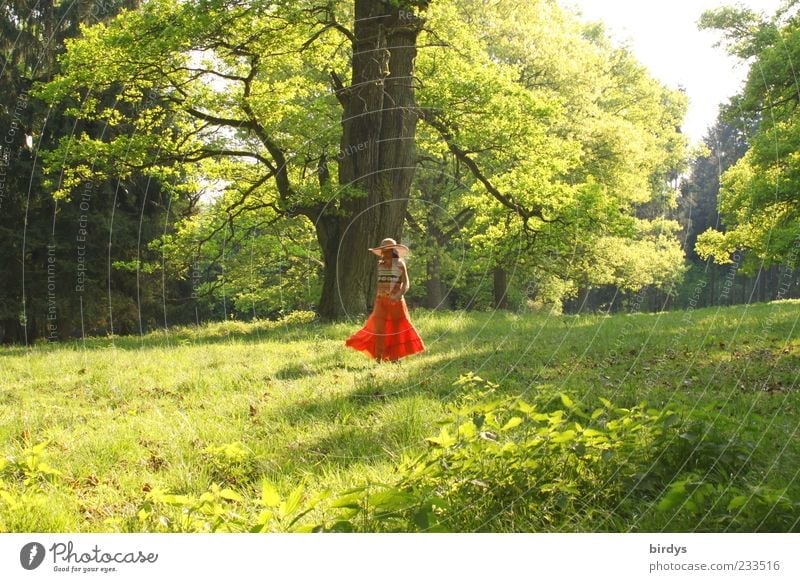 walking pleasures Elegant Joy Feminine Young woman Youth (Young adults) 1 Human being Nature Spring Summer Beautiful weather Tree Park Meadow Skirt Hat Going