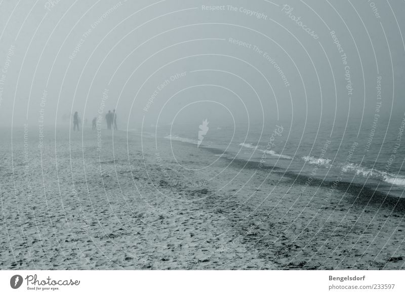 fog creatures Human being 4 Bad weather Wind Gale Fog Rain Thunder and lightning Waves Coast Beach Baltic Sea Loneliness Gray Weather Going Unclear