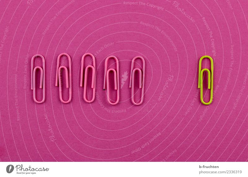 yellow paperclip away from pink paperclips School Office work Workplace Communicate Yellow Pink Together Contempt Fairness Society Equal Team Teamwork