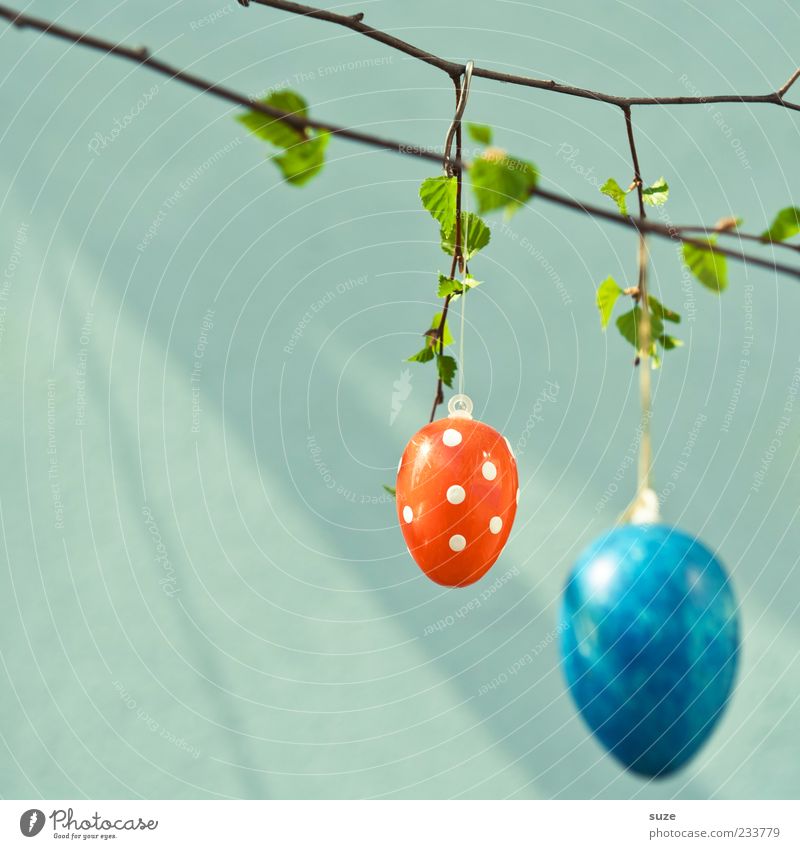 A.I. Decoration Easter Spring Leaf Hang Authentic Simple Happiness Beautiful Kitsch Small Cute Round Red Happy Anticipation Egg Easter egg Spotted Twig April