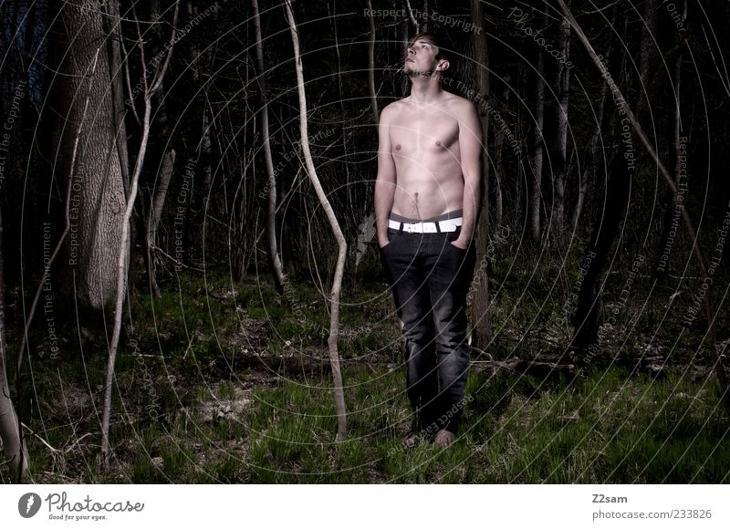 In the dark Lifestyle Masculine Young man Youth (Young adults) 1 Human being 18 - 30 years Adults Nature Tree Grass Forest Jeans Belt Stand Sadness Dark Creepy
