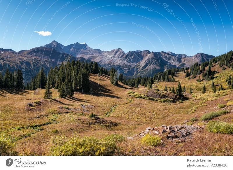 Maroon-Snowmass Wilderness in Colorado Contentment Senses Relaxation Calm Meditation Vacation & Travel Adventure Far-off places Freedom Camping Mountain Hiking