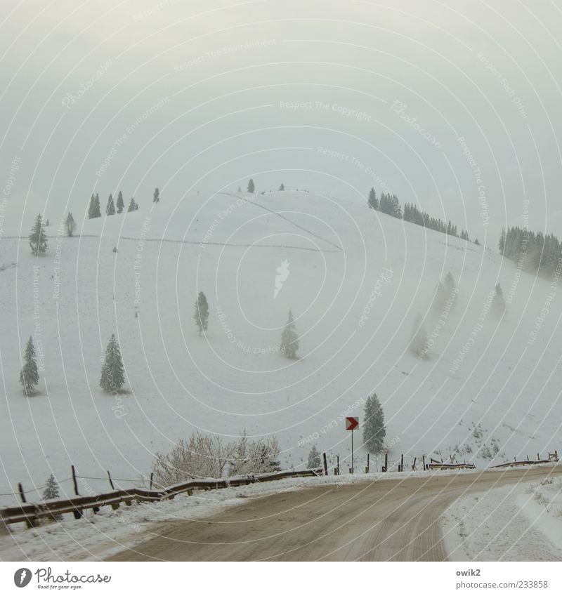 ice fog Far-off places Environment Nature Landscape Sky Clouds Winter Climate Weather Bad weather Ice Frost Snow Tree Coniferous trees Mountain Carpathians