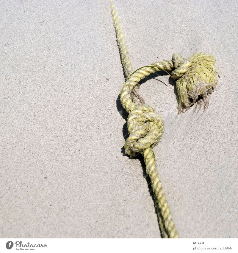 Knots in the sand Old Node Attachment Fastening Rope Firm Colour photo Exterior shot Close-up Structures and shapes Deserted Copy Space left Lie Sand