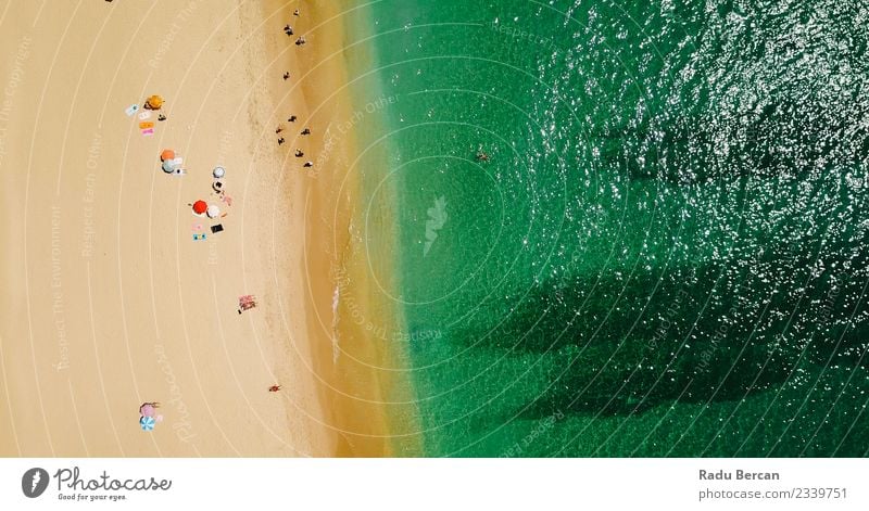 Aerial View Of People Crowd On Portugal Beach Lifestyle Exotic Swimming & Bathing Vacation & Travel Adventure Summer Summer vacation Sun Sunbathing Ocean Island