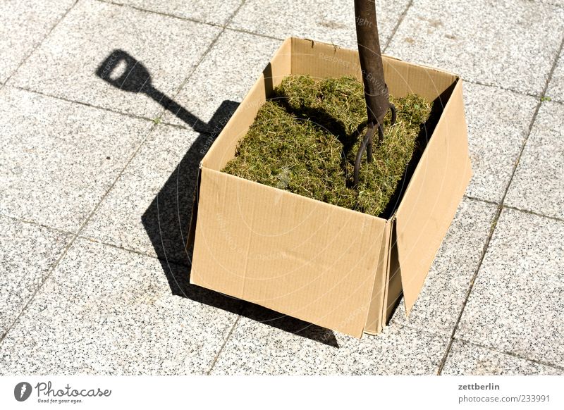 hay Climate Weather Beautiful weather Grass Foliage plant Crate Cardboard Hay Lawnmower Pitchfork Fork Packaging Terrace Shadow Colour photo Multicoloured