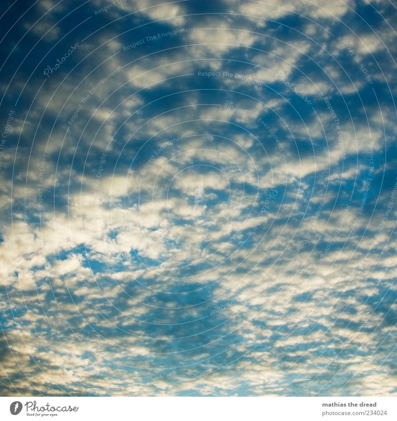 canopy Environment Nature Sky Sky only Clouds Beautiful weather Infinity Blue Hover Calm Idyll White Colour photo Multicoloured Exterior shot