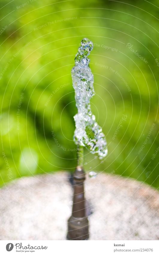 A stick of water Environment Nature Water Drops of water Summer Beautiful weather Garden Park Well Water spout Fountain Stone Cold Wet Green Water fountain
