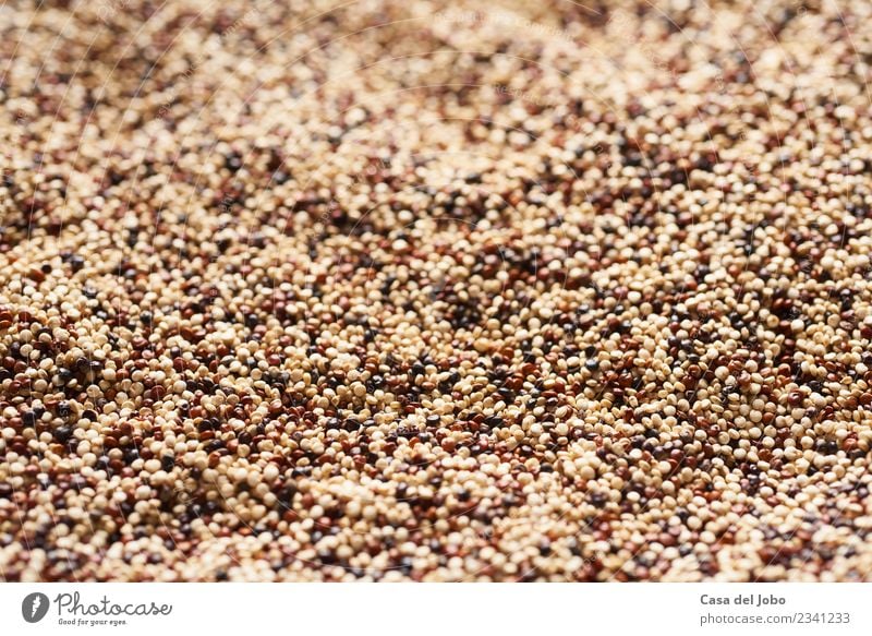 close up of mixed quinoa seeds Food Vegetable Grain Nutrition Eating Lunch Dinner Organic produce Vegetarian diet Diet Slow food Fresh Healthy Bright Delicious