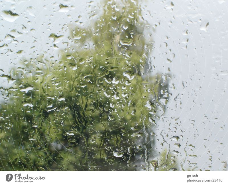 downpour Rain Window pane Wet water Drops of water Vantage point Weather Interior shot