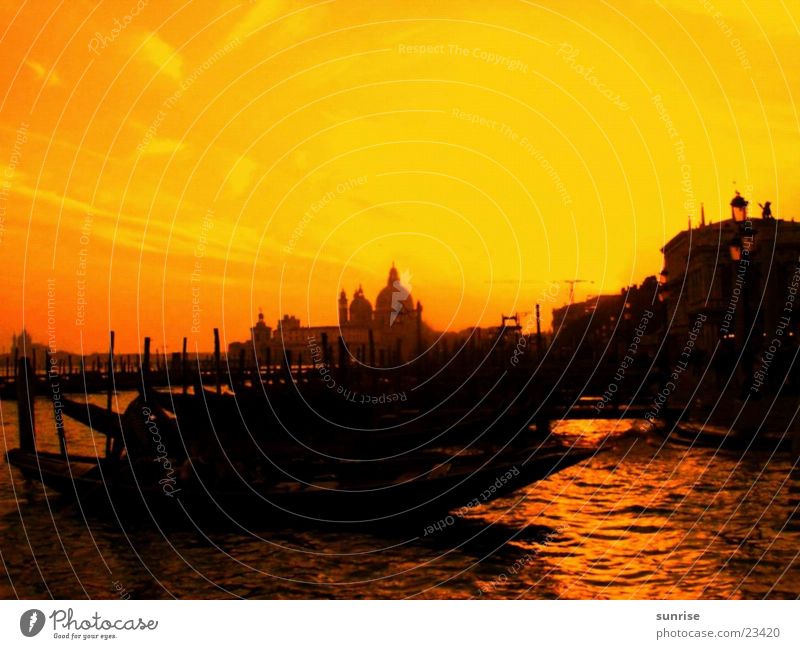 Venice Yellow Light Europe Back-light Sunlight Silhouette Gracht Gondola (Boat) Copy Space top Bright background Orange Twilight