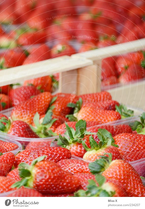 strawberries Food Fruit Nutrition Organic produce Fresh Delicious Sweet Red Mature Farmer's market Fruit- or Vegetable stall Fruit bowl Market stall Strawberry