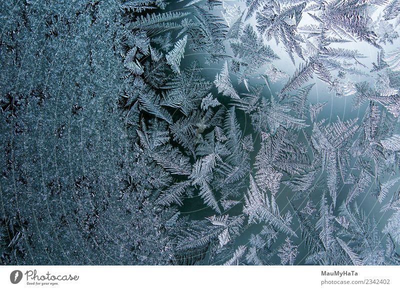 Ice patterns on winter Beautiful Winter Snow Christmas & Advent Nature Climate Weather Fresh Bright Natural New Blue Frost Frozen window glass ice Consistency