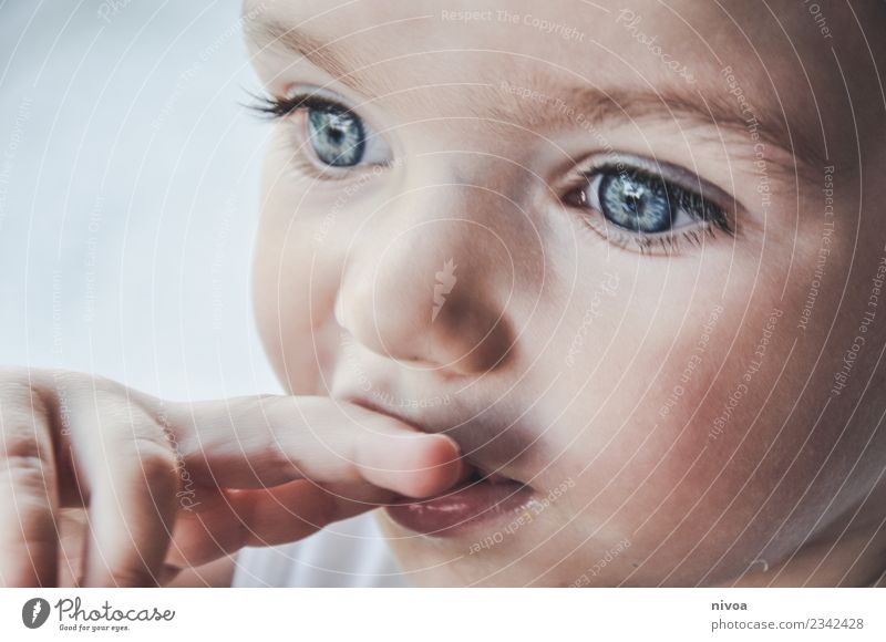Child's face in the pose of a thinker pretty Face Senses Parenting Human being Toddler Boy (child) Infancy Eyes Nose Fingers 1 1 - 3 years Observe Touch